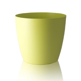 Green Ceramic Pot