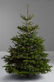 Christmas Tree 3ft